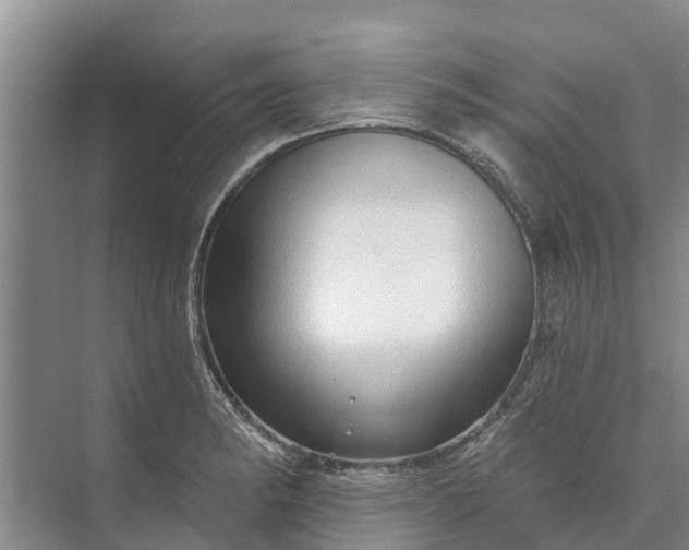 X0000072941182200608041234