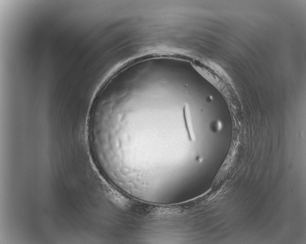 X0000072941183200608041234