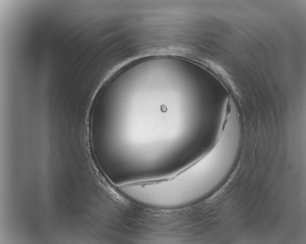 X0000072941184200608041234