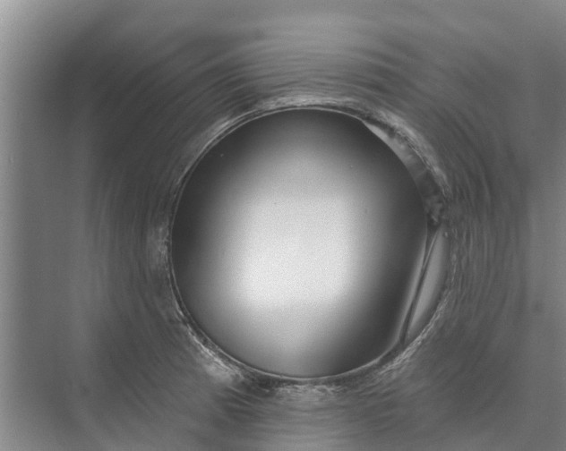 X0000072941185200608041234