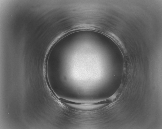 X0000072941188200608041234