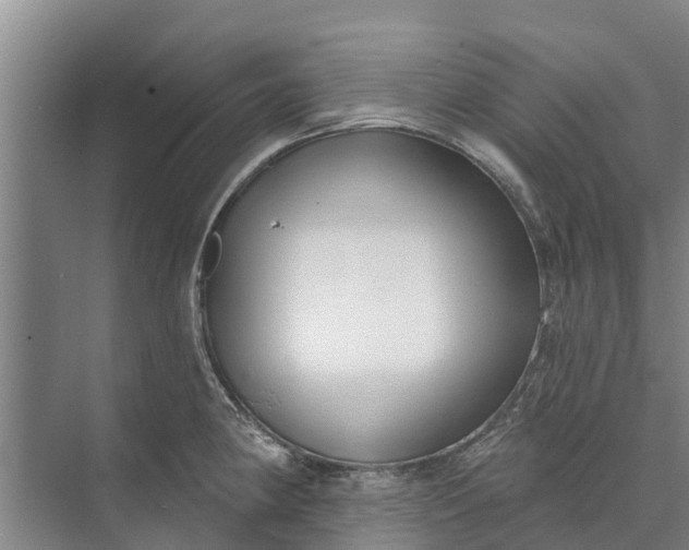 X0000072941190200608041234