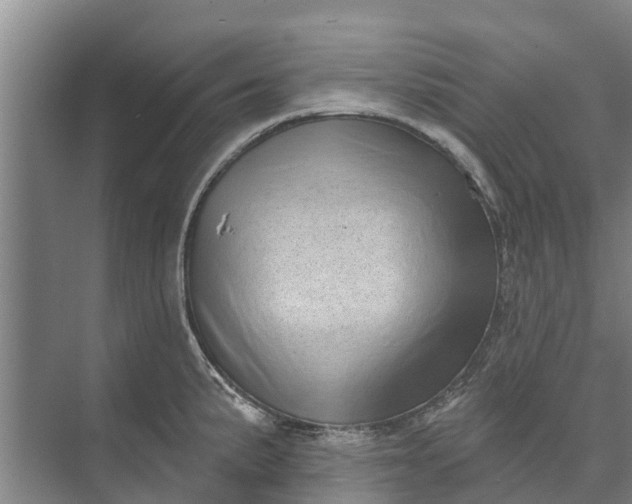 X0000072941191200608041234