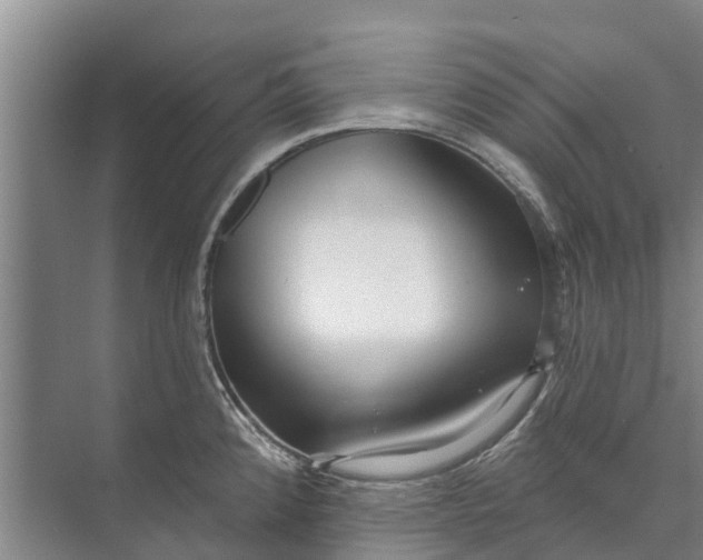 X0000072941192200608041234