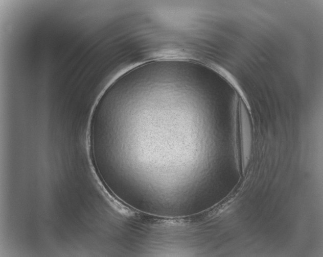 X0000072941195200608041234