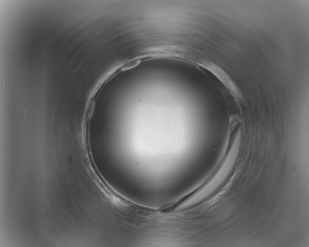 X0000072941196200608041234