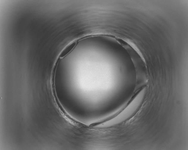 X0000072941197200608041234