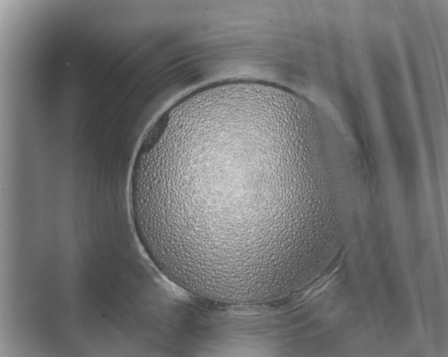 X0000072941199200608041234