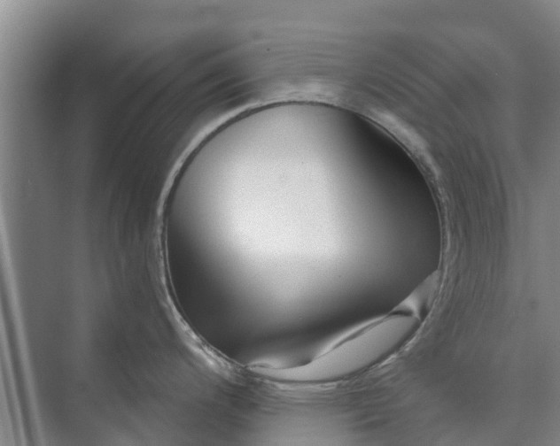 X0000072941200200608041234