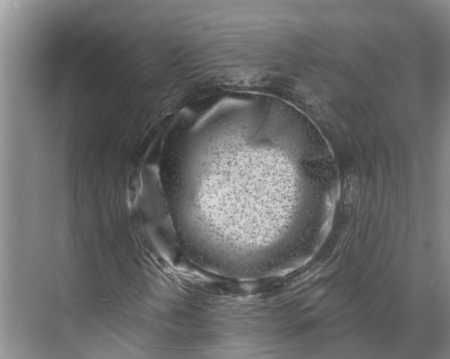 X0000072941202200608041233