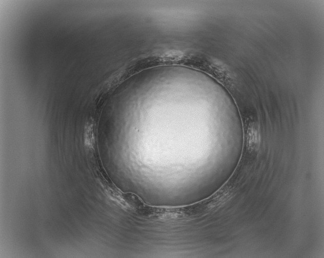 X0000072941204200608041233