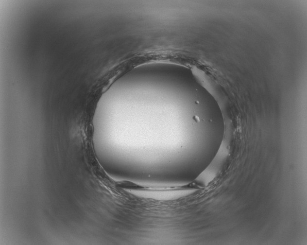 X0000072941206200608041233