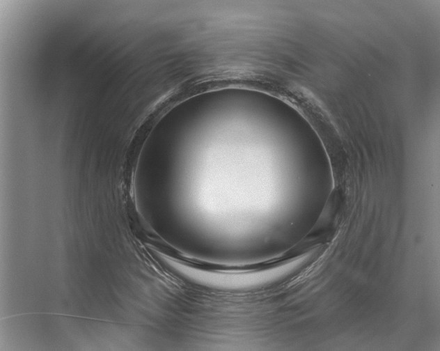 X0000072941210200608041233