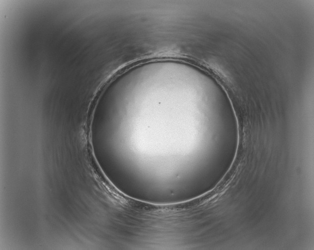 X0000072941212200608041233