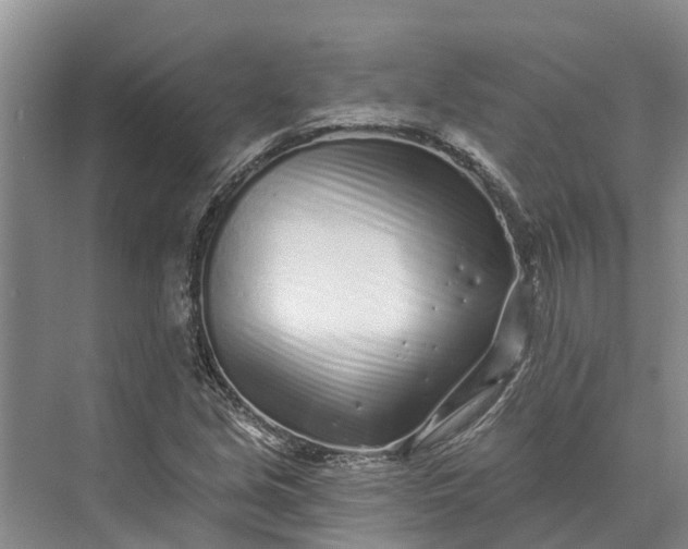 X0000072941213200608041233