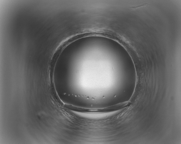 X0000072941214200608041233