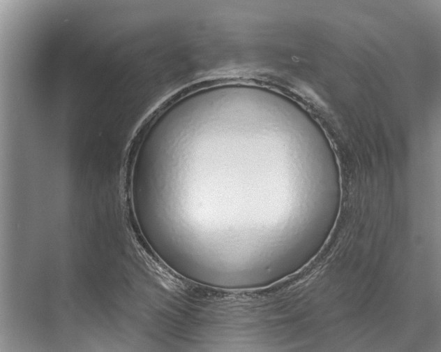 X0000072941216200608041233