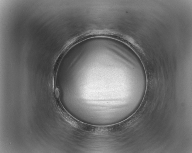 X0000072941221200608041233