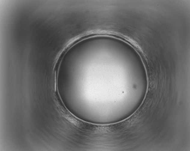 X0000072941223200608041233