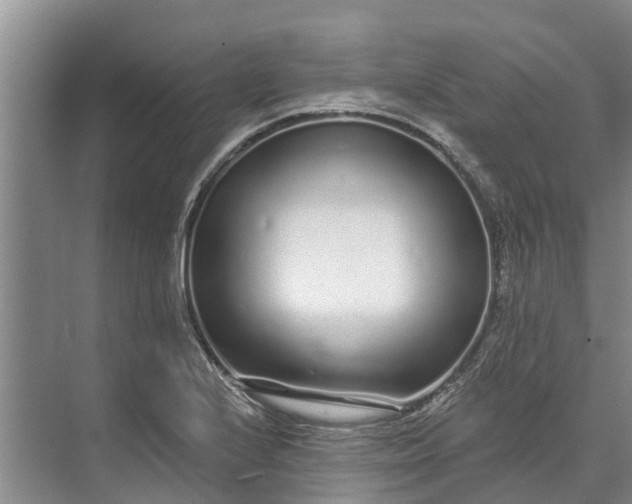 X0000072941224200608041233