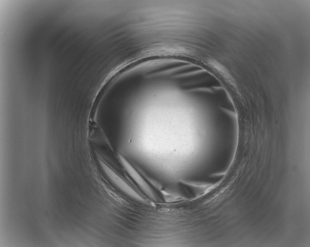 X0000072941226200608041233