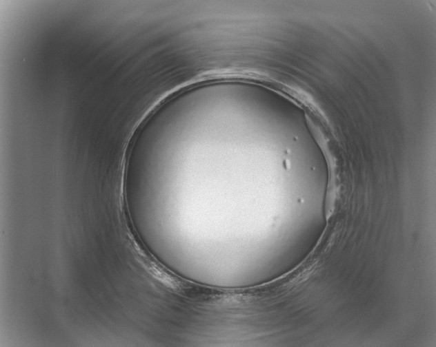 X0000072941228200608041233