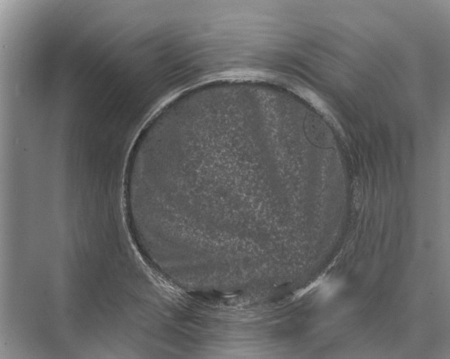 X0000072941229200608041233