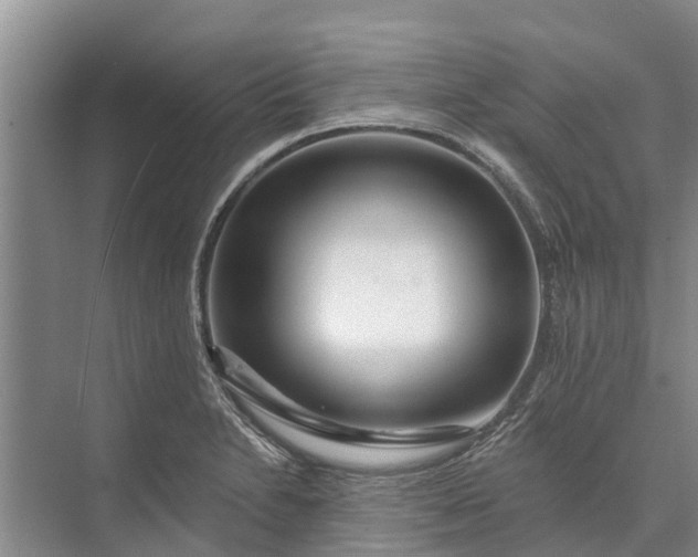 X0000072941230200608041233