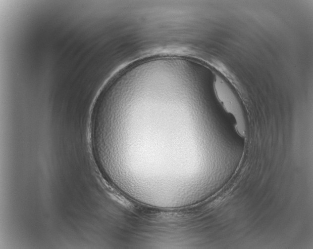 X0000072941232200608041233