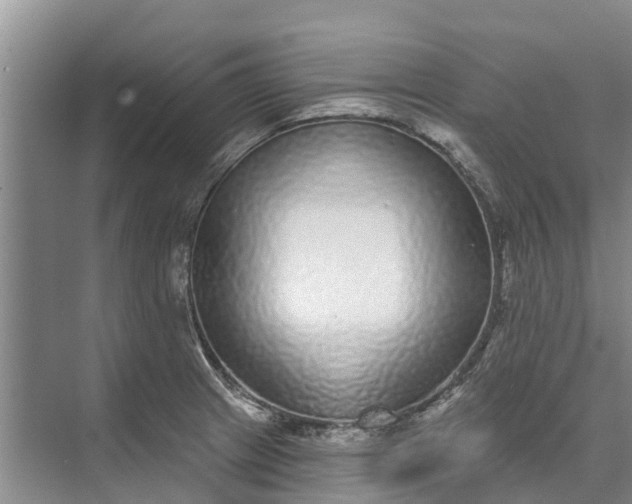 X0000072941233200608041233