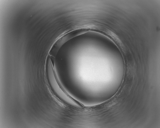 X0000072941234200608041233