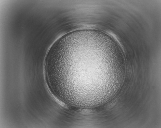 X0000072941235200608041233