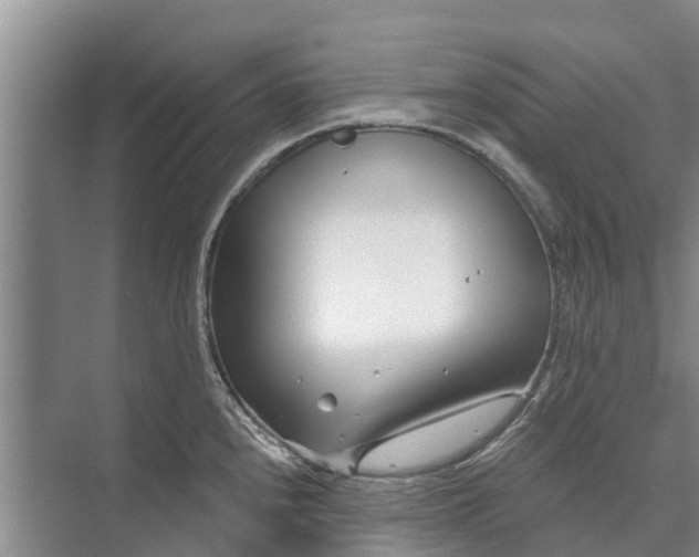 X0000072941240200608041233