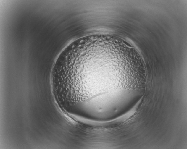 X0000072941243200608041234