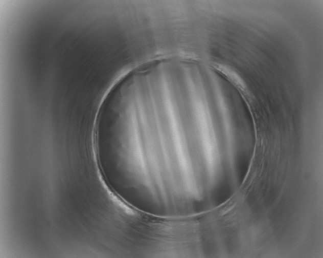 X0000072941247200608041234