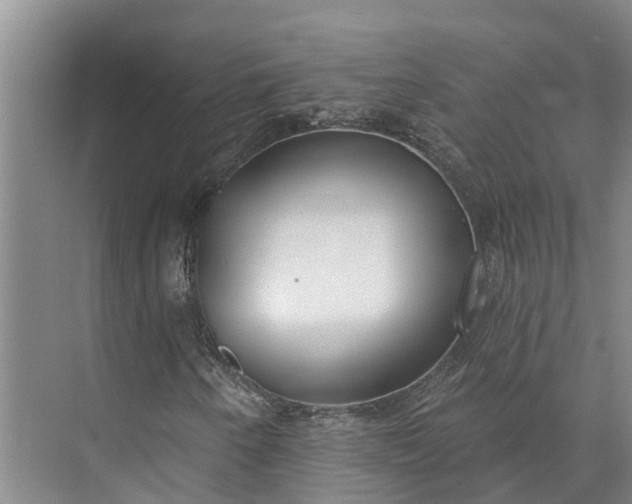 X0000072941250200608041233