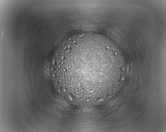 X0000072941251200608041233