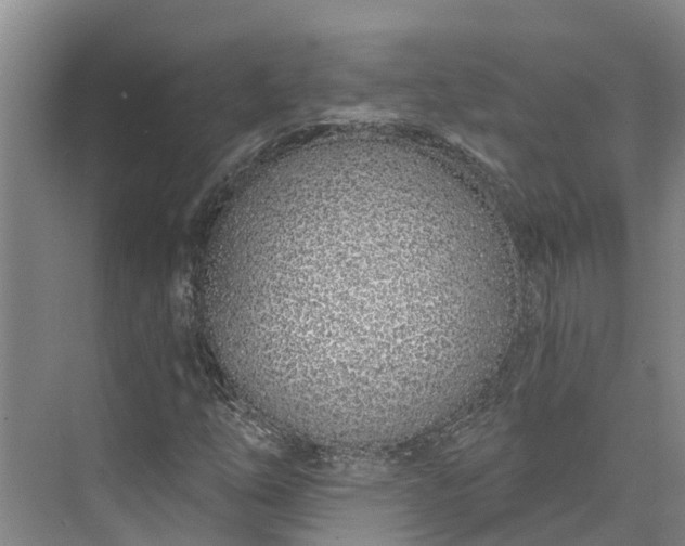 X0000072941254200608041233