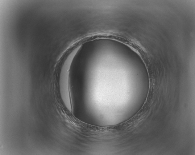 X0000072941256200608041233