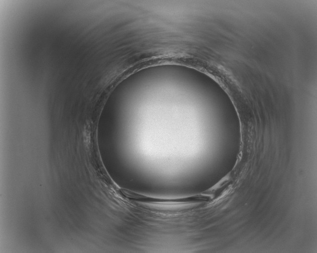 X0000072941257200608041233