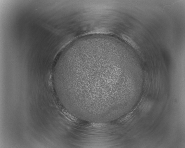 X0000072941258200608041233