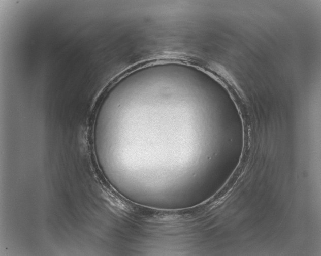 X0000072941260200608041233