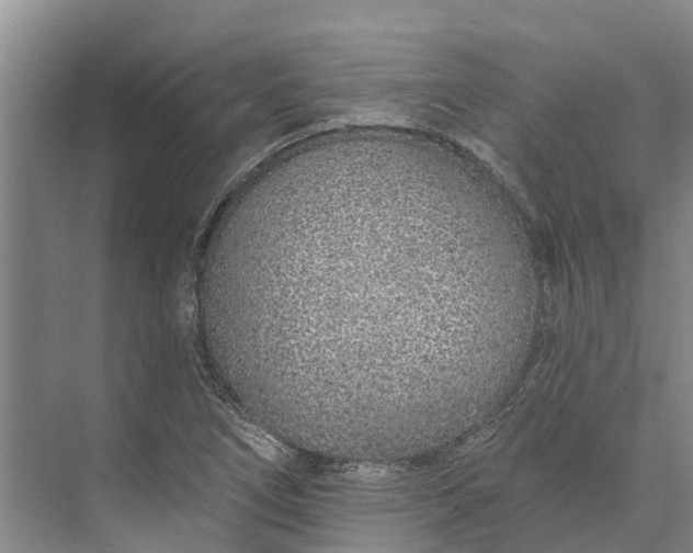 X0000072941266200608041233