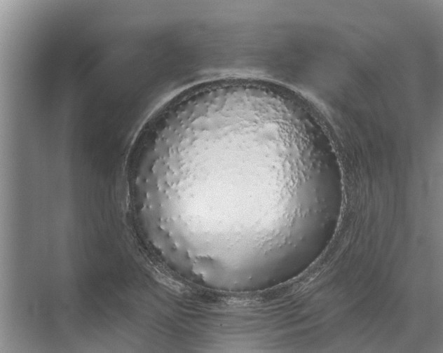 X0000072941271200608041232