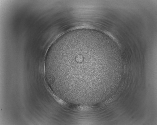 X0000072941274200608041232