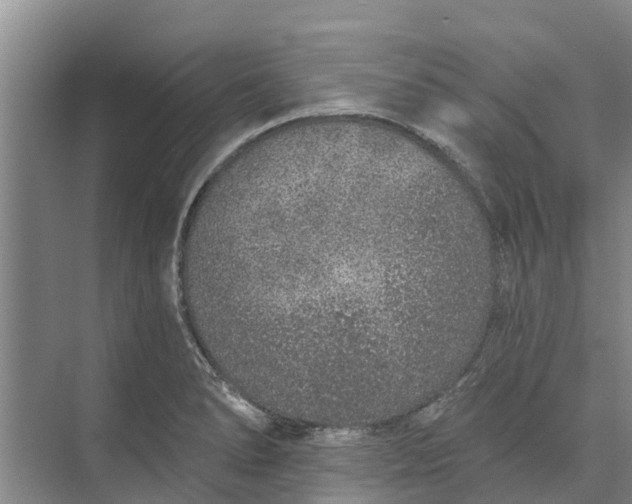 X0000072941278200608041232