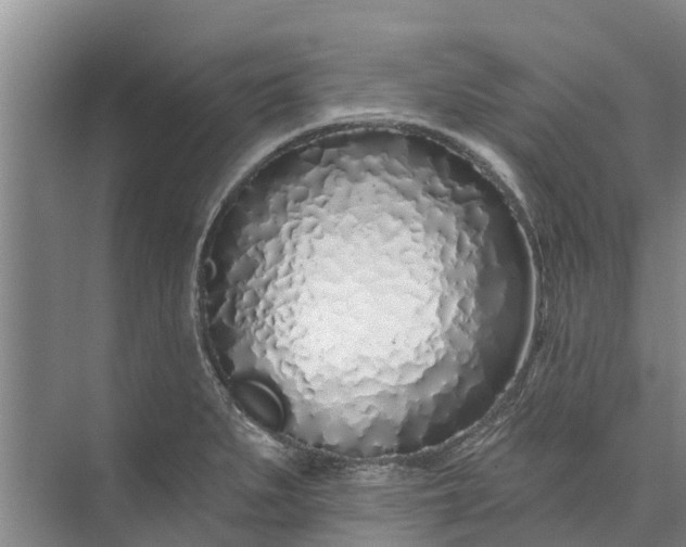 X0000072941279200608041232