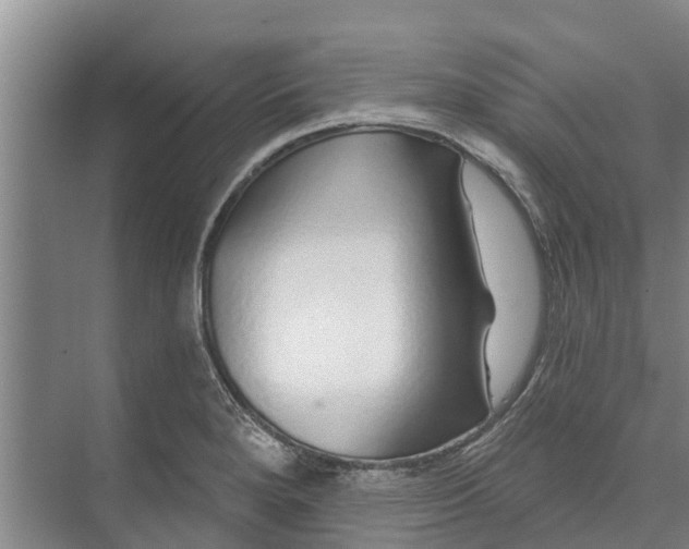 X0000072941280200608041232