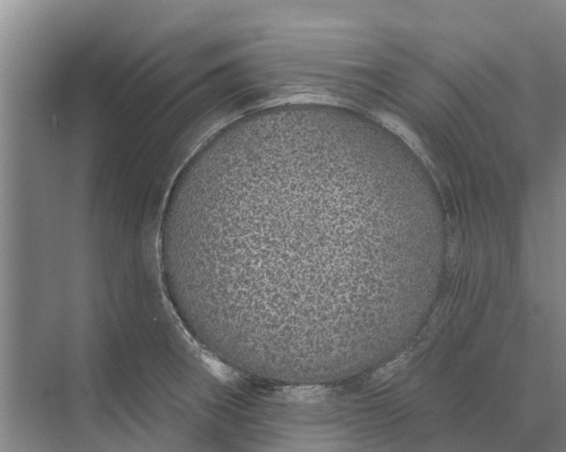 X0000072941282200608041232