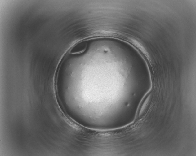 X0000072941283200608041232